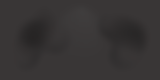 Fundo Projetos.png