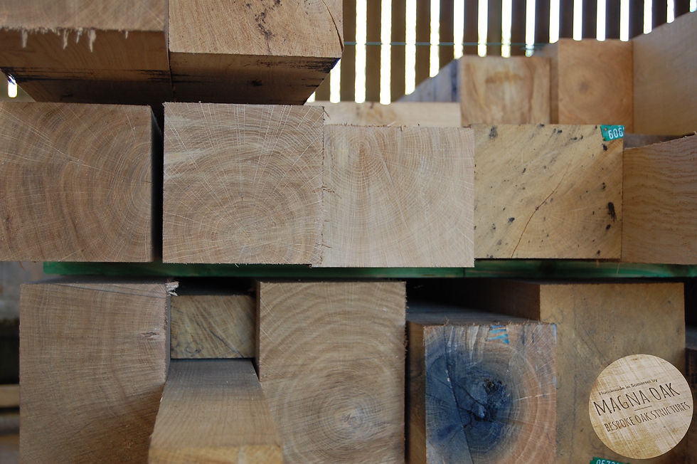 magna oak - Frame Carpentry