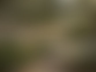 2026 Outdoor Living Trends for Bay Area Homeowners