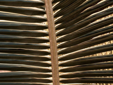 You Don’t Have to Hit Rock Bottom to Rethink Your Relationship with Alcohol