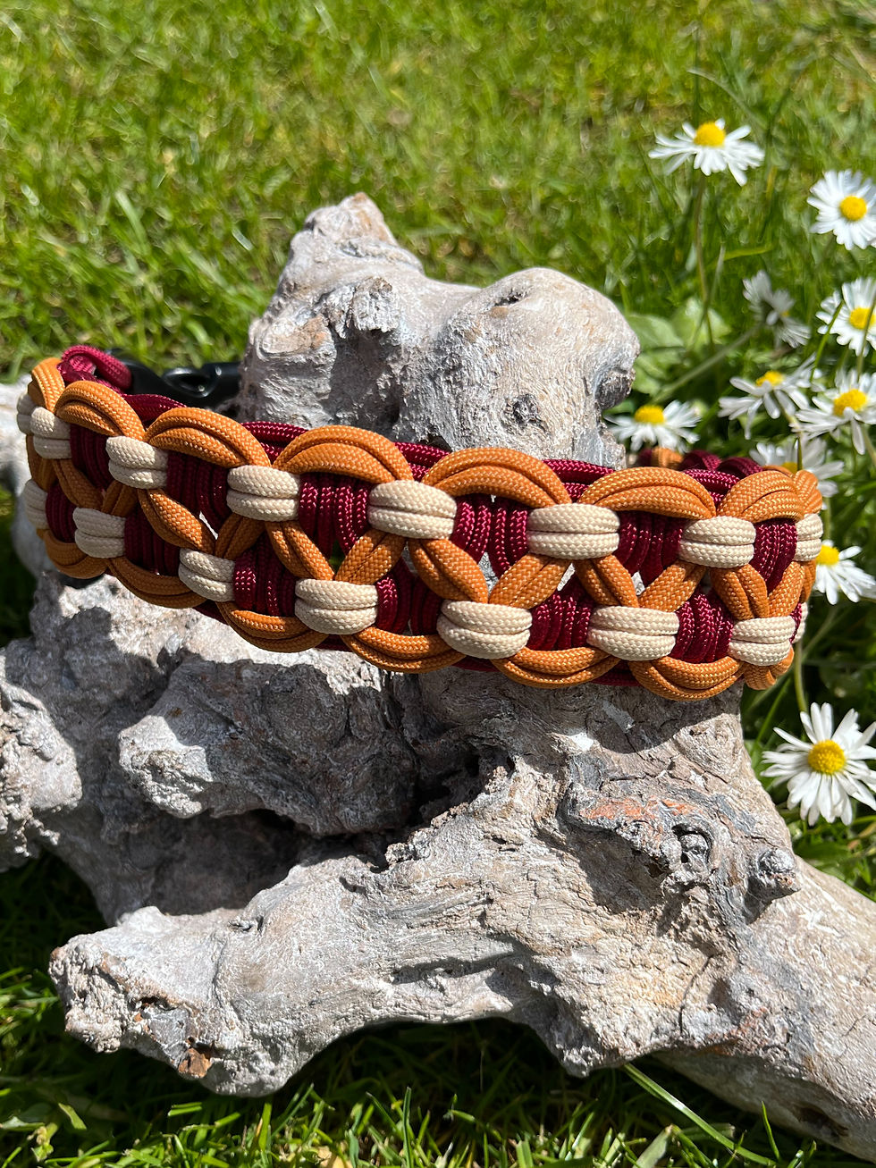 Hundehalsband "Double KBK Bar"