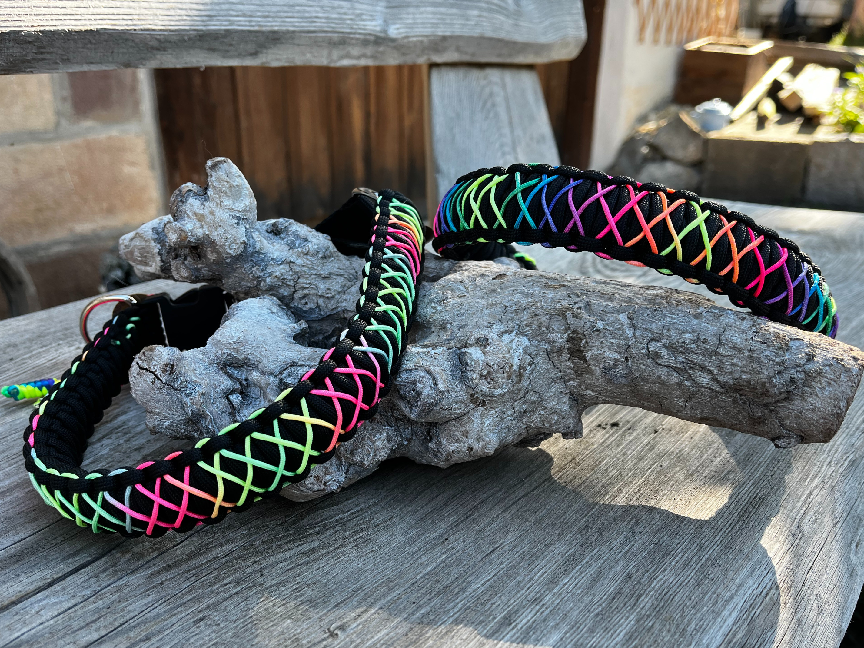 Hundehalsband "Lio"