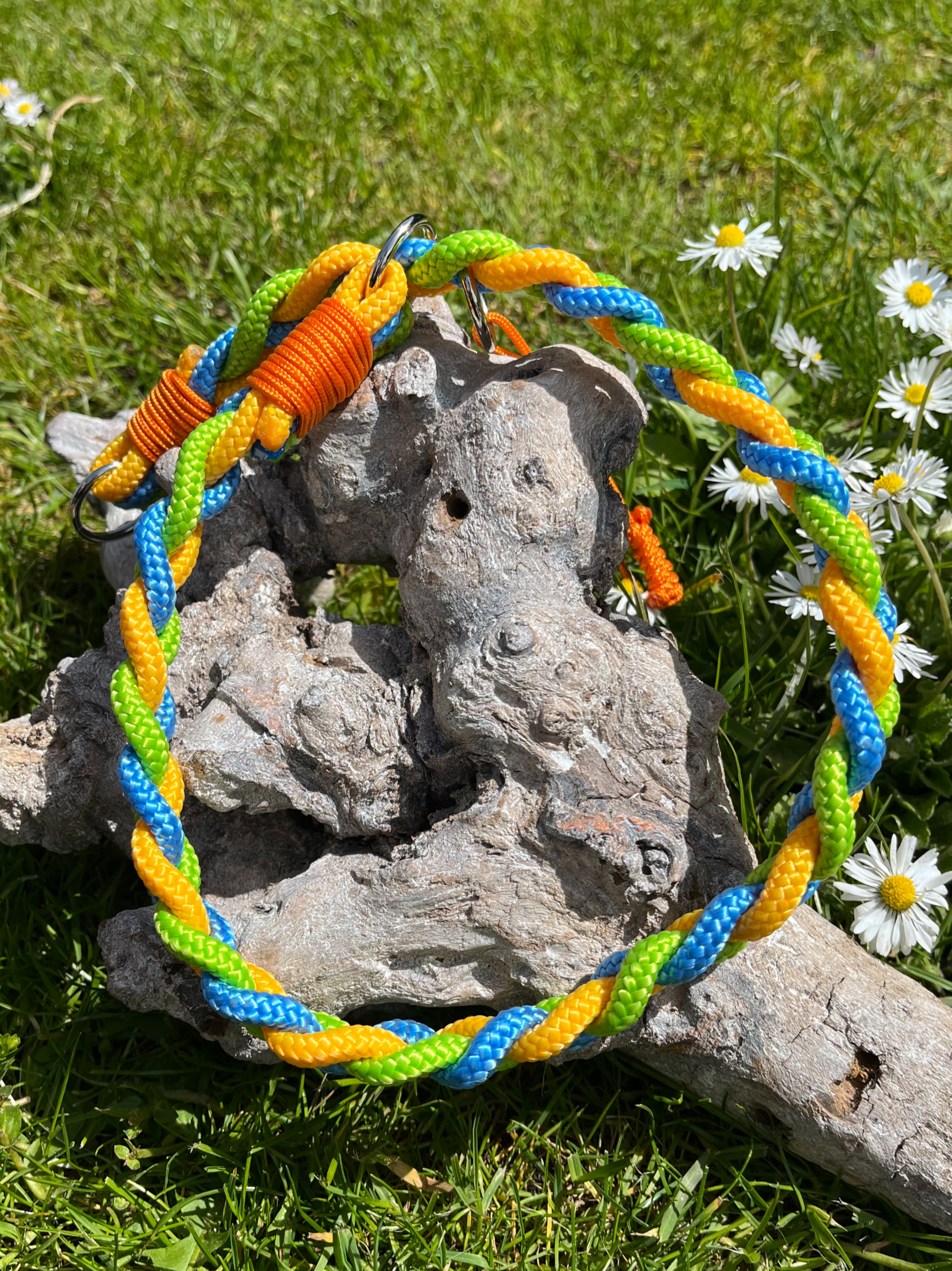 Seil-Hundehalsband "Avorim" mit Zugstopp