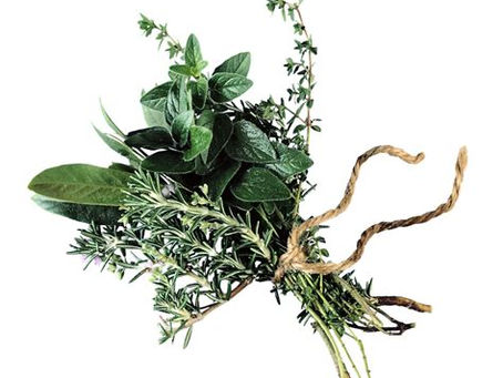 Best Herbs for Reducing Inflammation and Pain