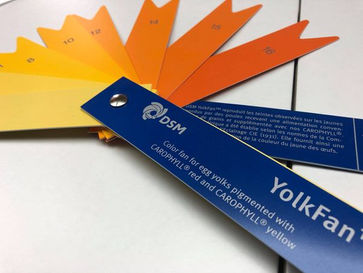 タイル製作色指定