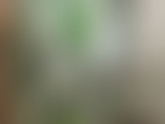 海南島三亜プロジェクト