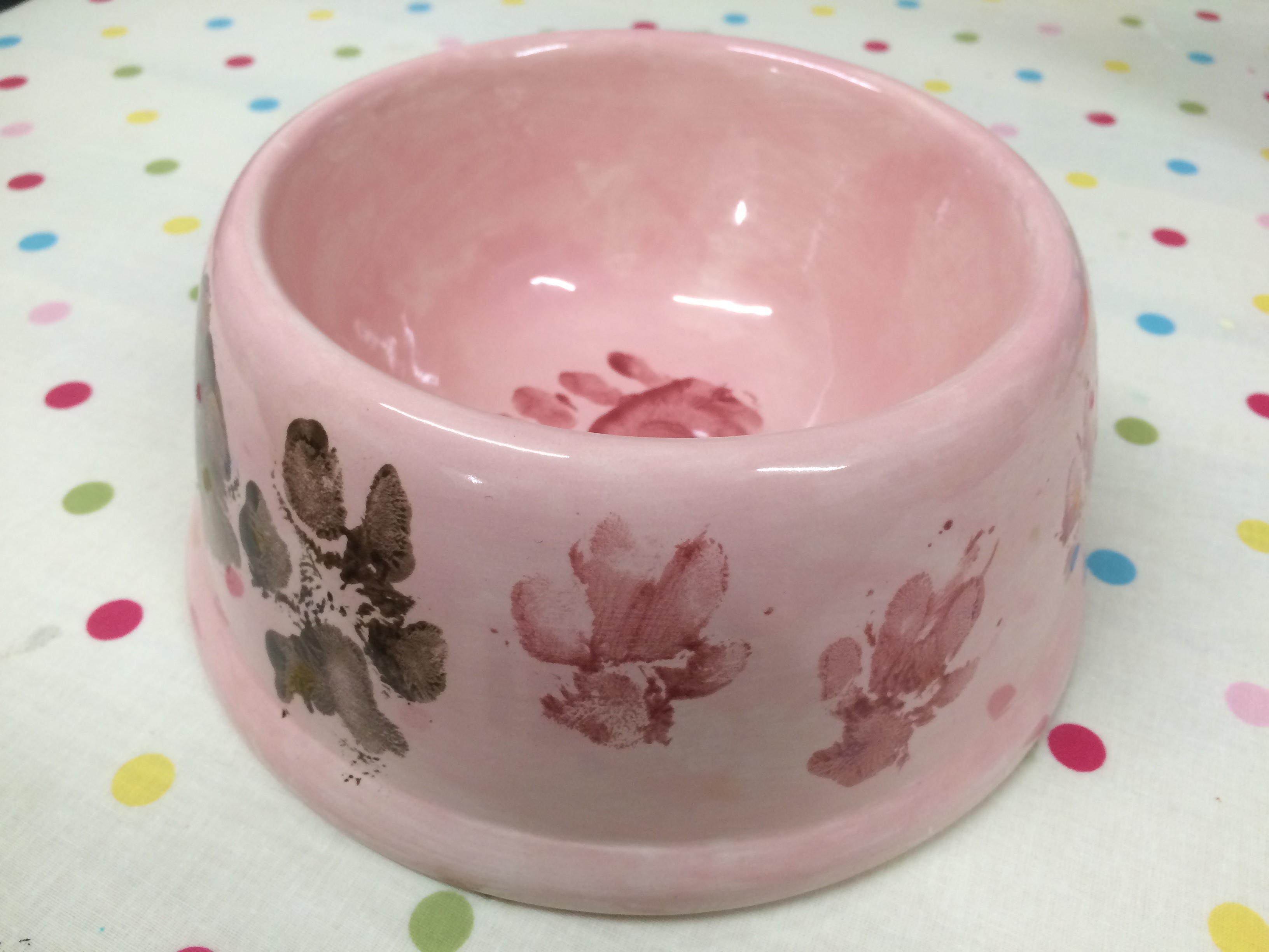 dog bowl