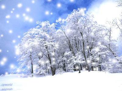 11259A024B1188B126.gif
