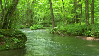 cc0386e4856535d775152583c04105e1.gif