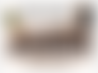 Puppy Development From 8–12 Weeks: What’s Going On With Your Miniature Schnauzer