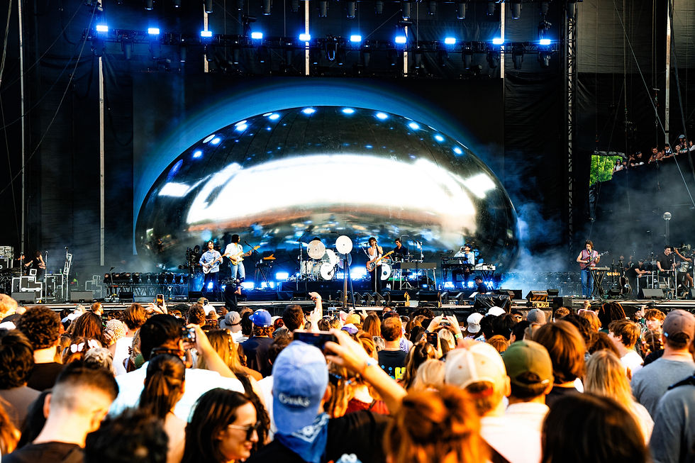 Photo Credits: Pooneh Ghana, Lollapalooza