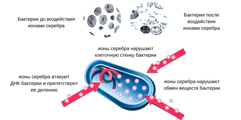 Ионы серебра