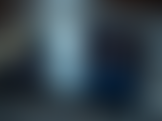 半自動売買システムプレゼント!毎日プロトレーダーの情報配信