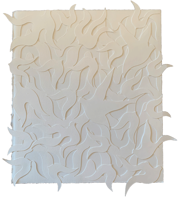 collage_white_rectangle_background.gif