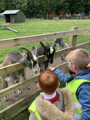 FS fun at the Farm