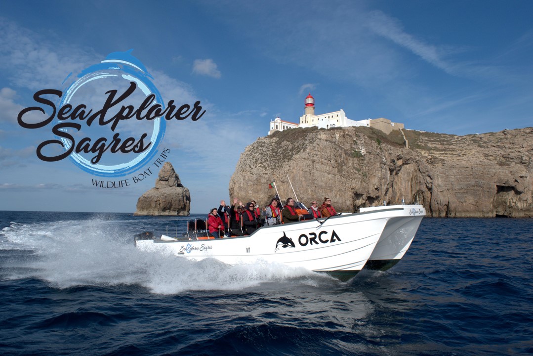 Orca and Cabo S. Vicente