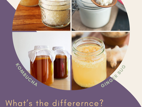 Fermented & Simple: A Guide to 4 Favorite Fermented Drinks