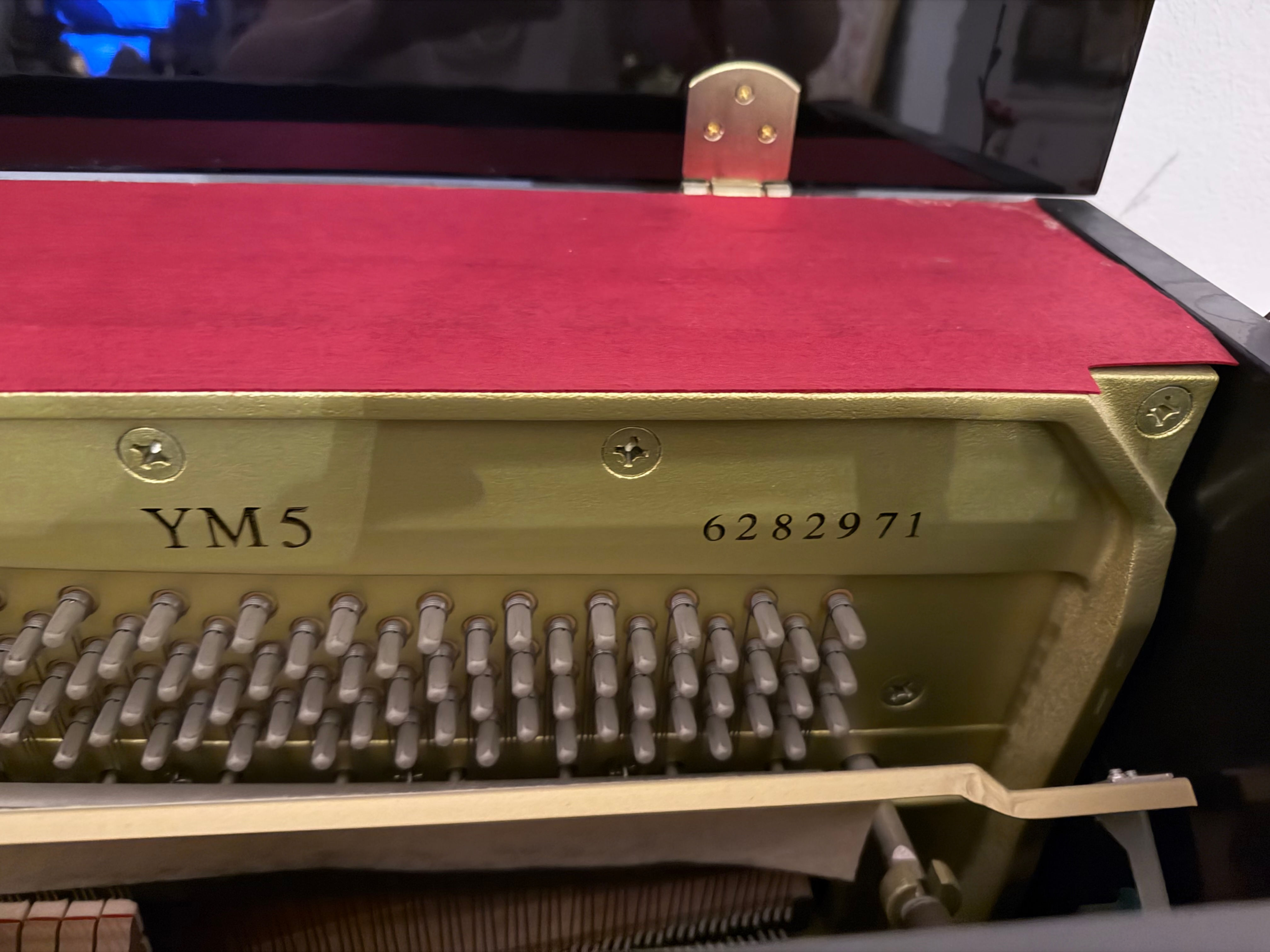 Yamaha YM5 - 16 Years Old