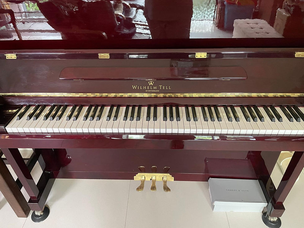 Wilhelm Tell Piano - 9 Years Old