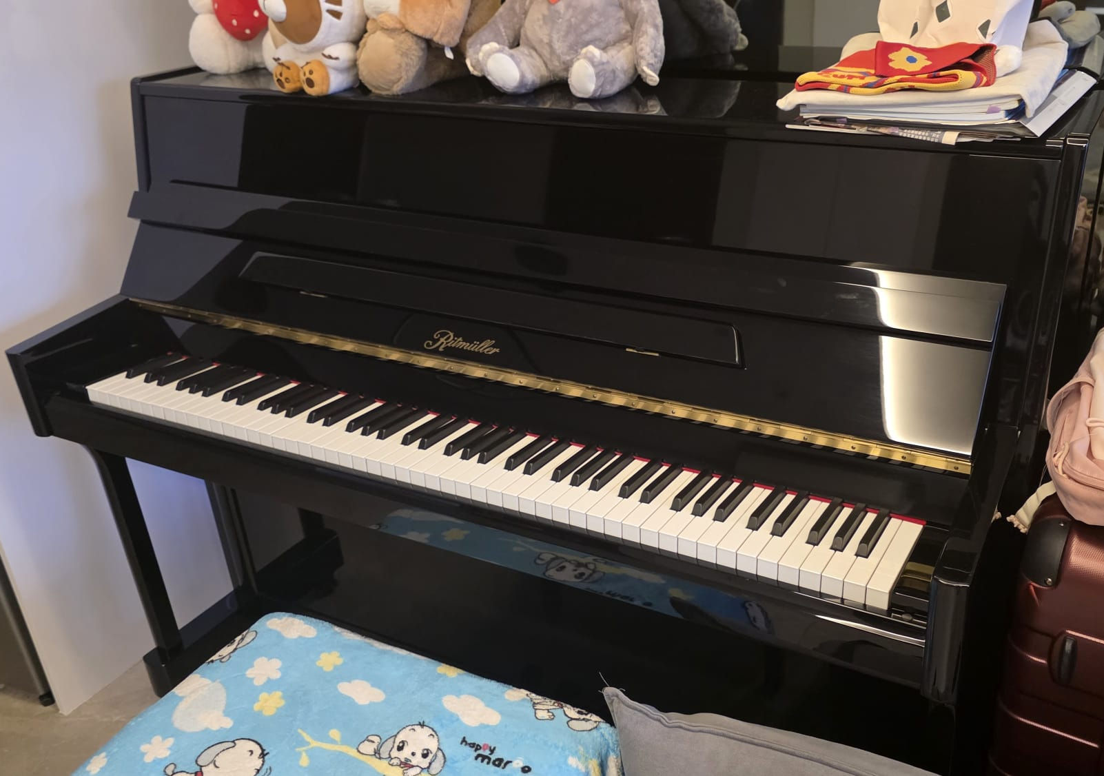 Ritmüller UP-110R2EP - 7 Years Old