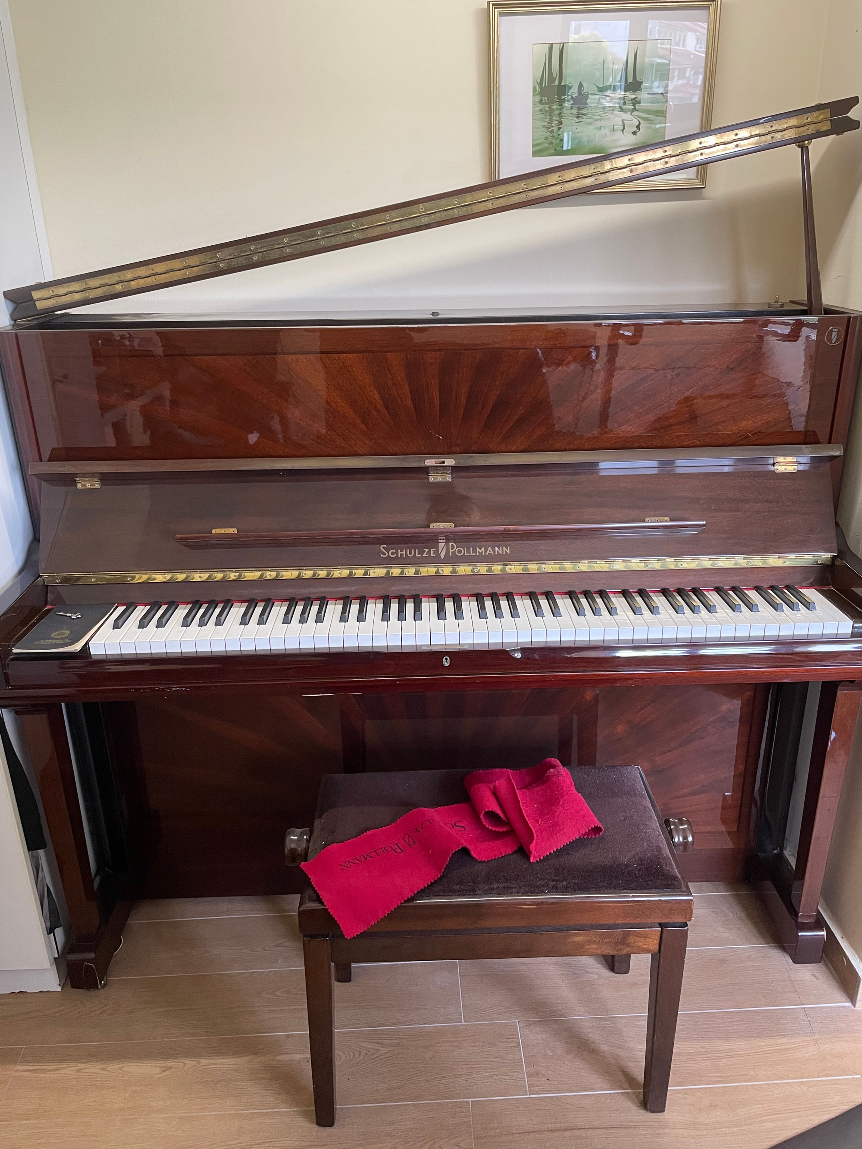 Schulze Pollmann Piano - 19 Years Old