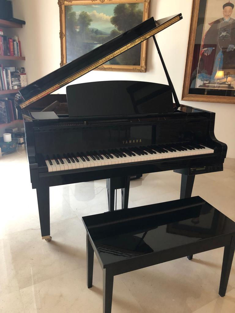 SGPH Yamaha GH1 - 26 Years Old