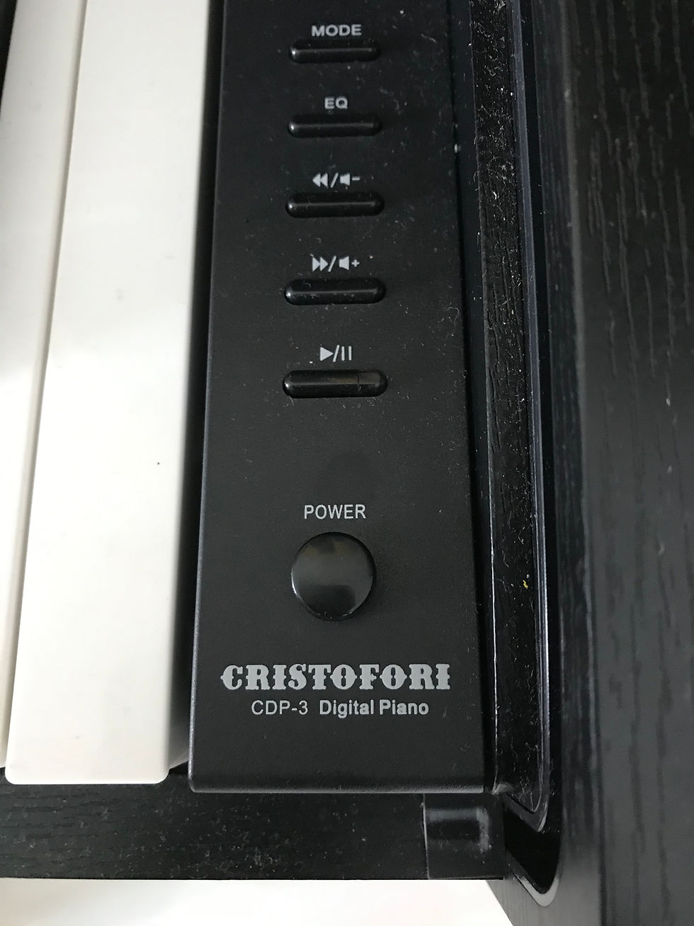 Cristofori CDP-3 - 1 Year Old