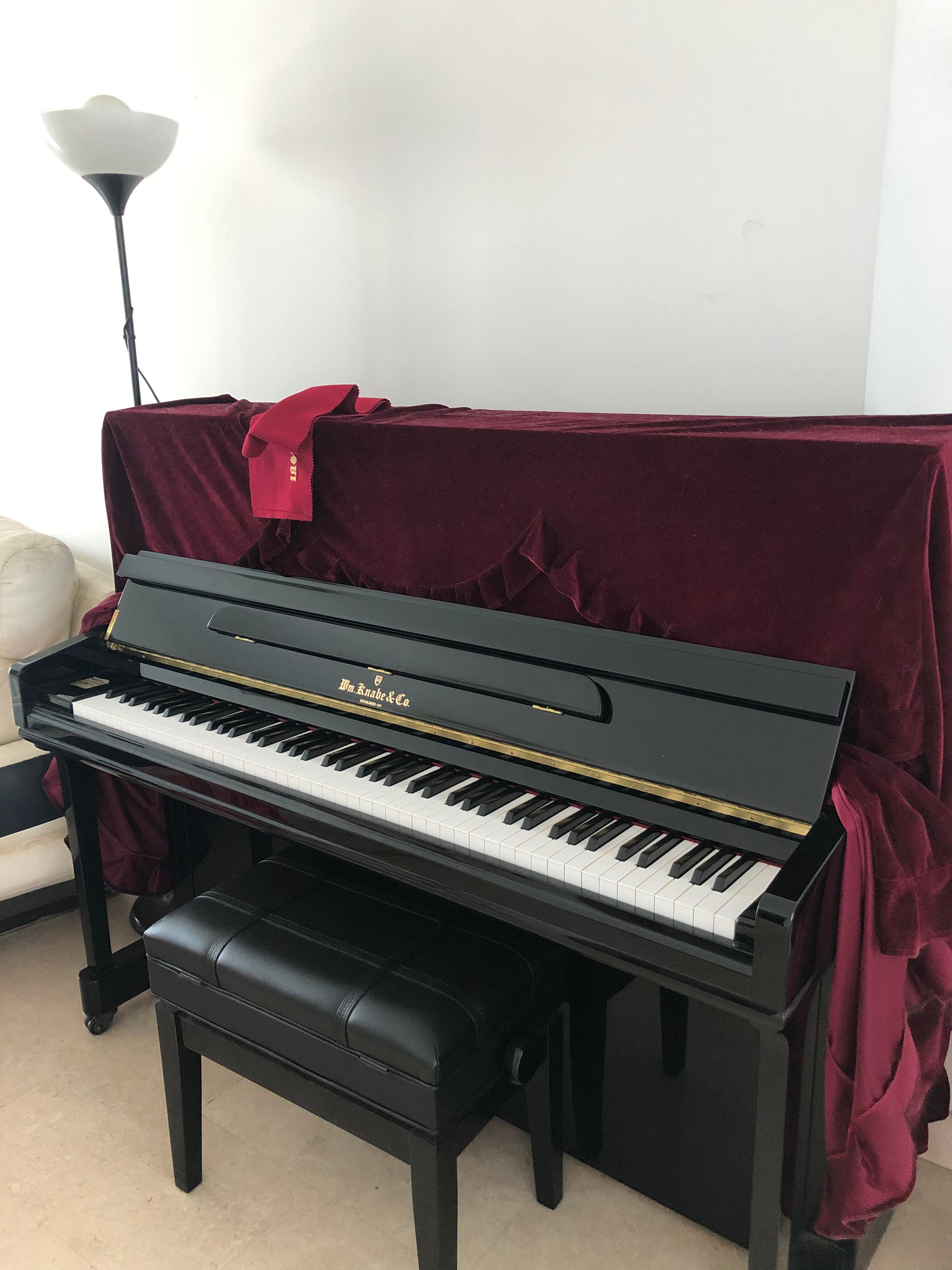 W.M. Knabe MWV-121MD - 2 Years Old