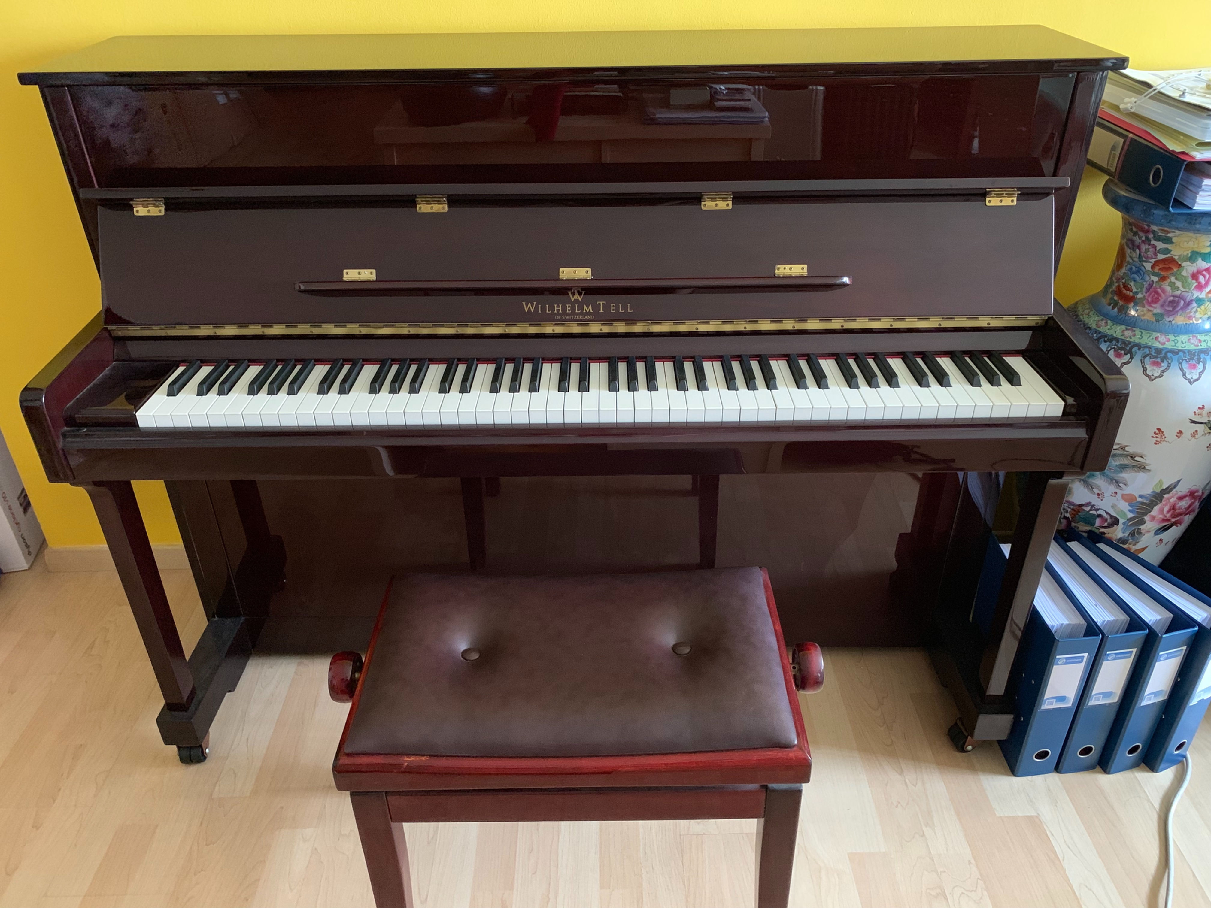 Wilhelm Tell 124 Geneva - 9 Years Old