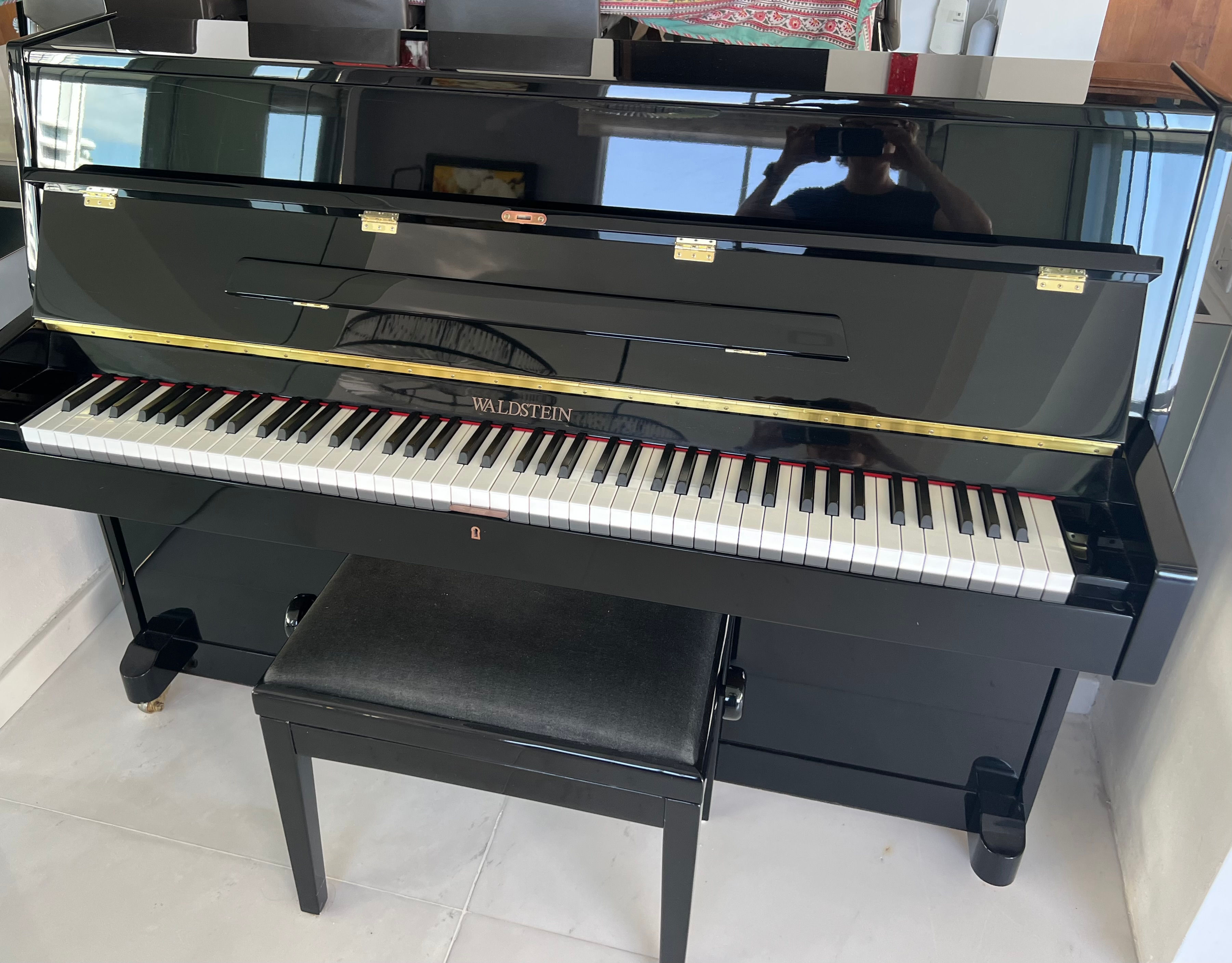 Waldstein Piano - 20 Years Old