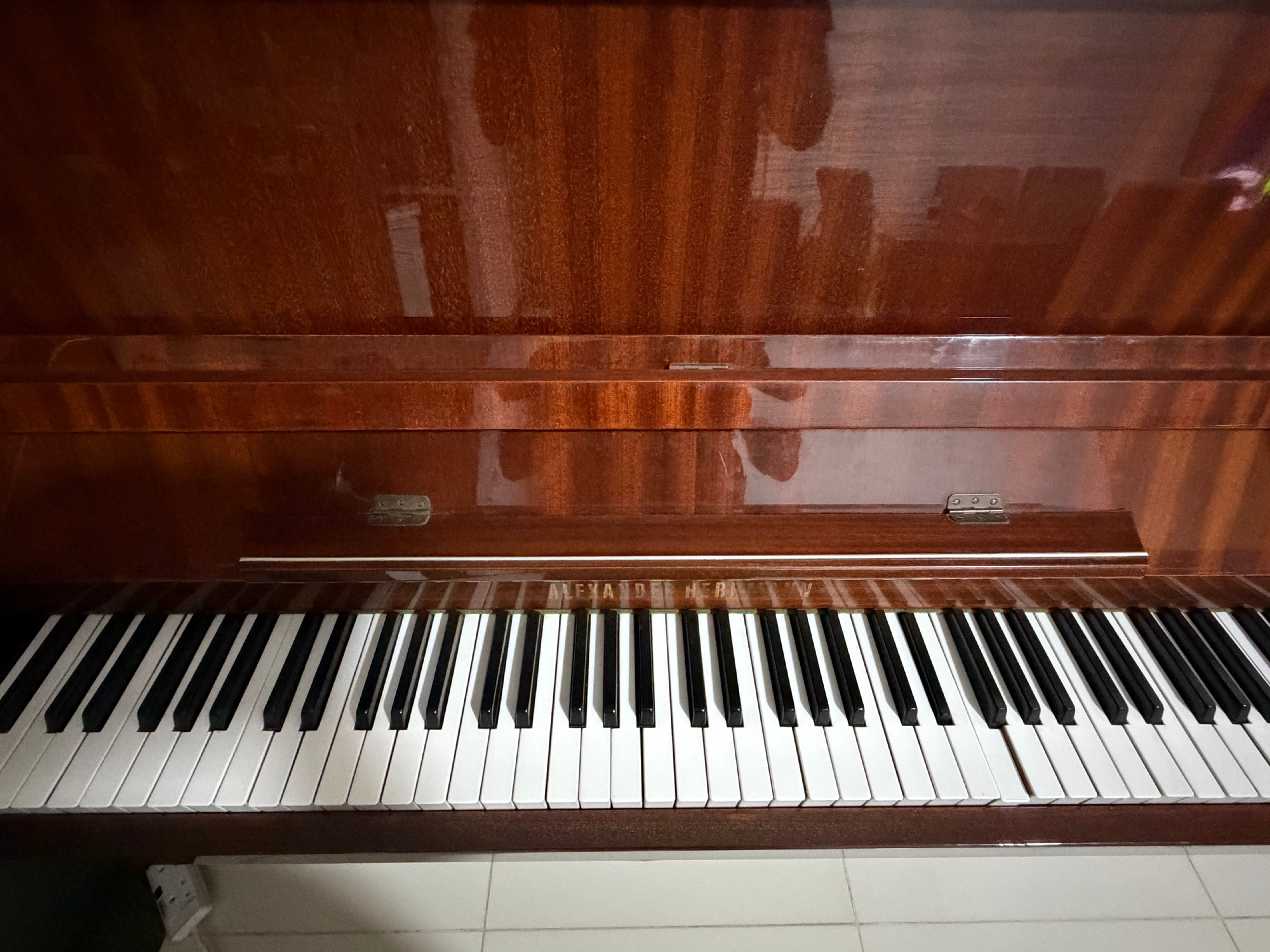 Alexander Herrmann Piano - 5 Years Old