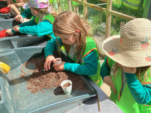Harlow Carr