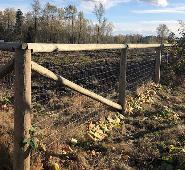 Rural Fence