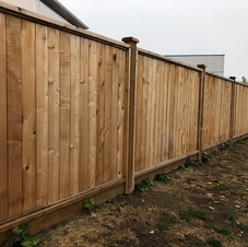 cedar panel fence
