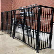 ornamental gas (2).png