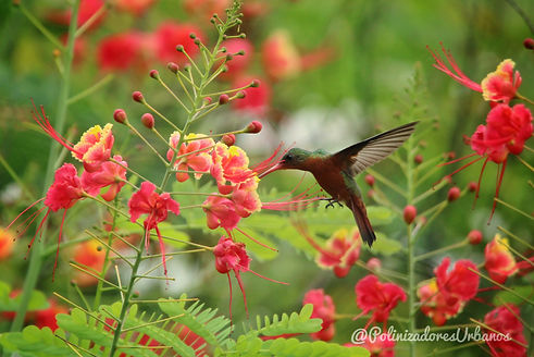 Imagen de WhatsApp 2025-06-28 a las 23.53.26_dc527f65.jpg