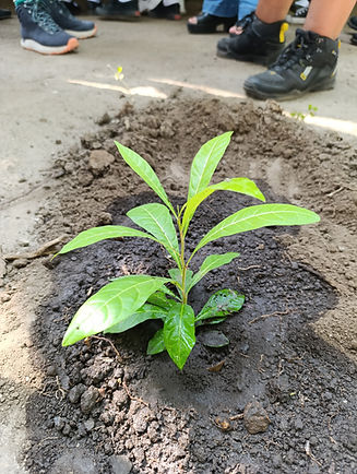 Imagen de WhatsApp 2025-06-06 a las 01.58.06_e6cc6299.jpg