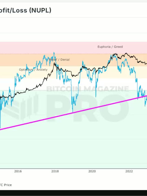 [尊貴或以上] 緊急檢討 + Update