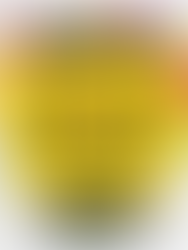 [尊貴或以上] 每月幣評 -- 24年7月 個人做法