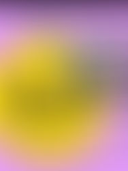 [尊貴或以上] TG Group 搬屋 2025