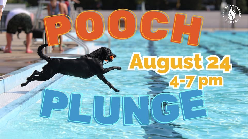 Pooch Plunge