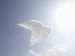 Angel4.jpeg