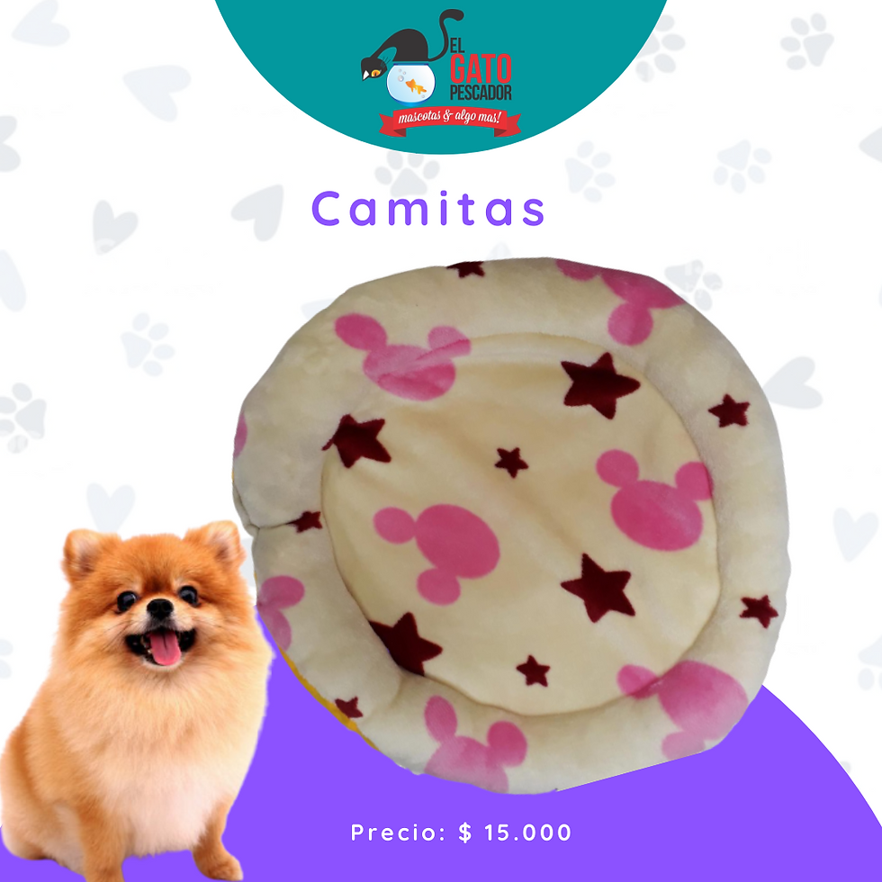 Miniatura: Camitas pequeñas