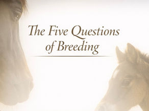 Horse Welfare Begins in the Breeding Shed