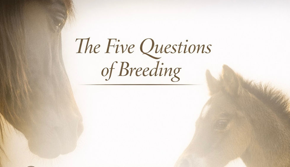 Horse Welfare Begins in the Breeding Shed