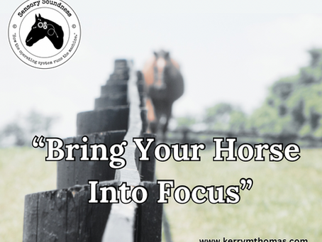 Bring your Horse into Focus