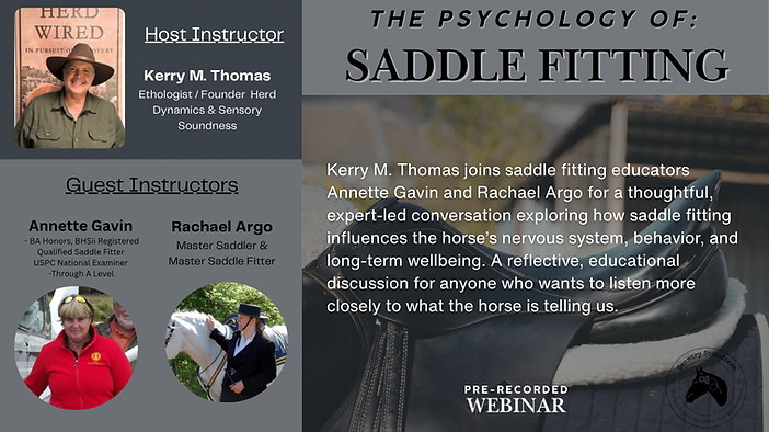 Saddle Fitting webinar