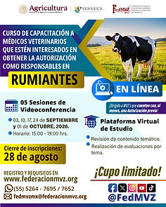 CARTEL CURSO RUMIANTES EN LÍNEA SEPTIEMBRE 2026.jpg