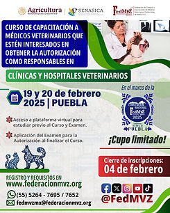 CARTEL CURSO CLÍNICAS PUEBLA FEBRERO 2025.jpg
