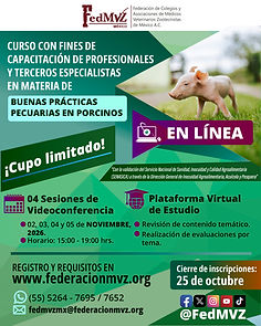 CARTEL CURSO EN LÍNEA BPP PORCINOS NOVIEMBRE.jpg